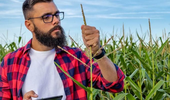 Młody rolnik na polu